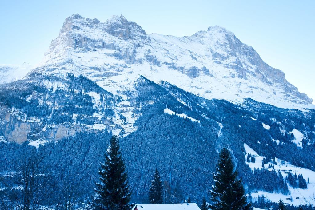 Bernerhof Residence กรินเดลวัลด์ ภายนอก รูปภาพ